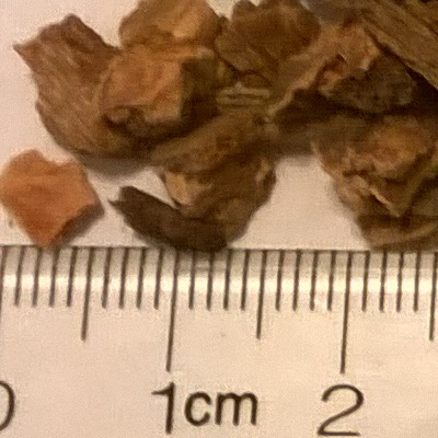 Unsifted Orchid Bark