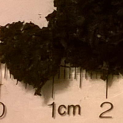 Potting Soil